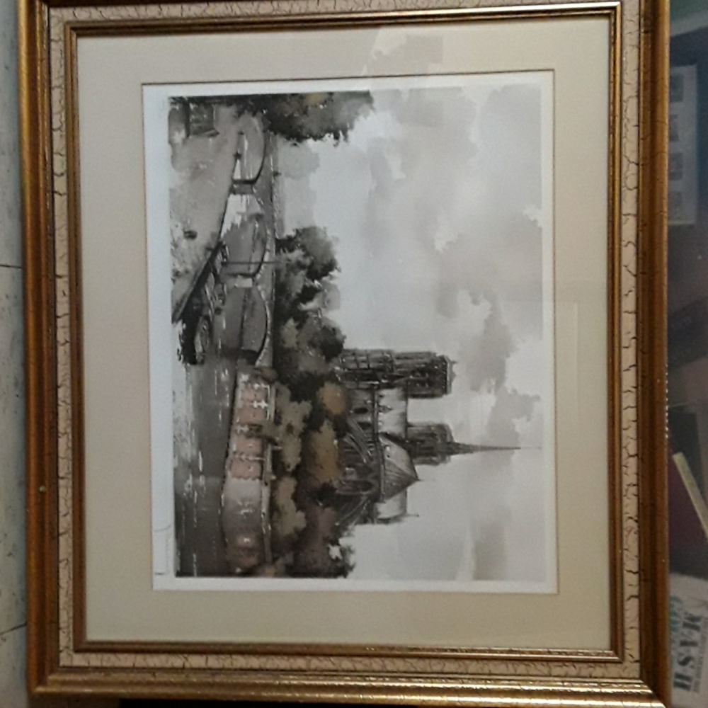 Framed cathedral of Notre Dame print remove 903